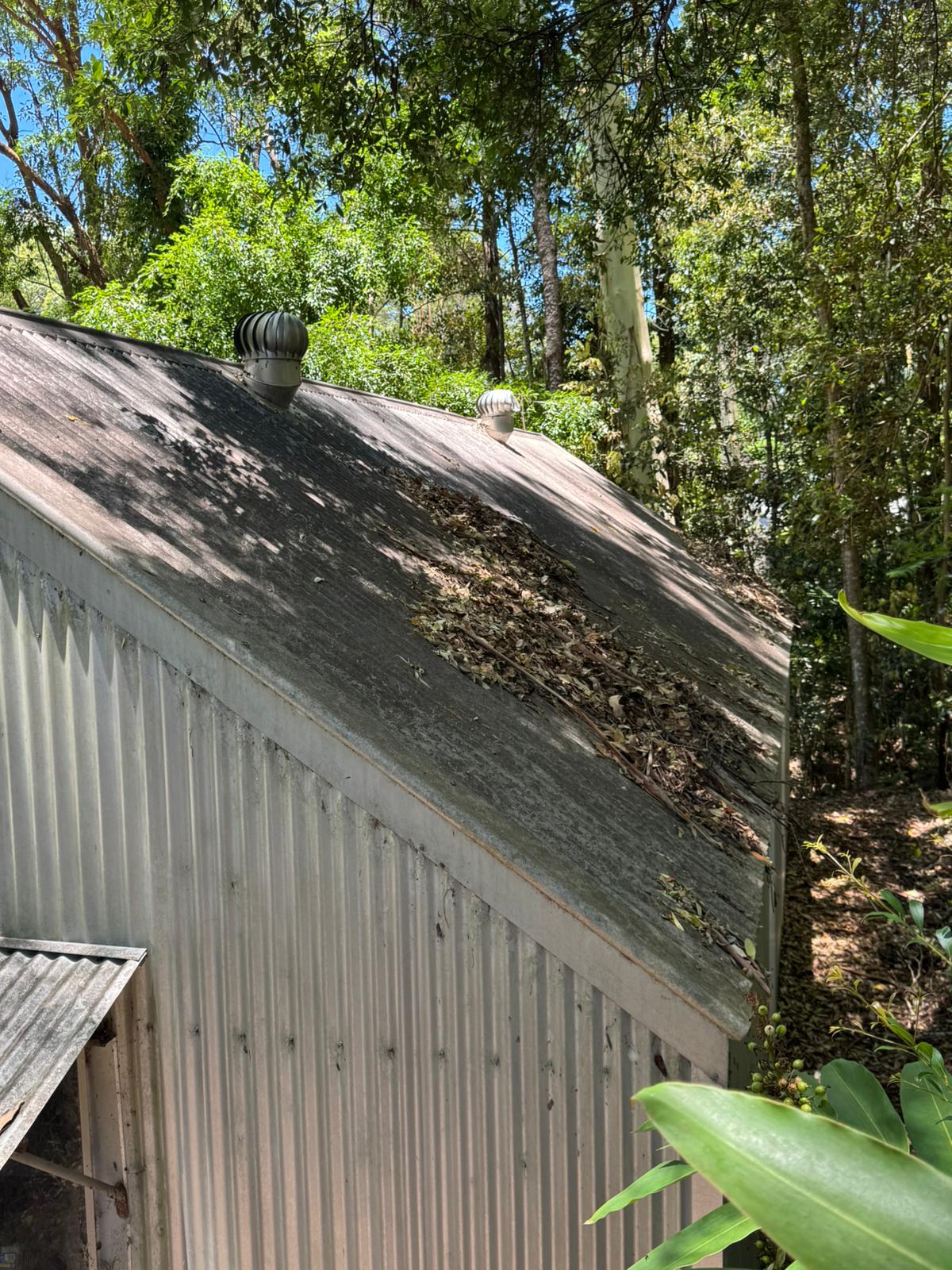 WhatsApp Image 2026-04-22 at 17.41.16